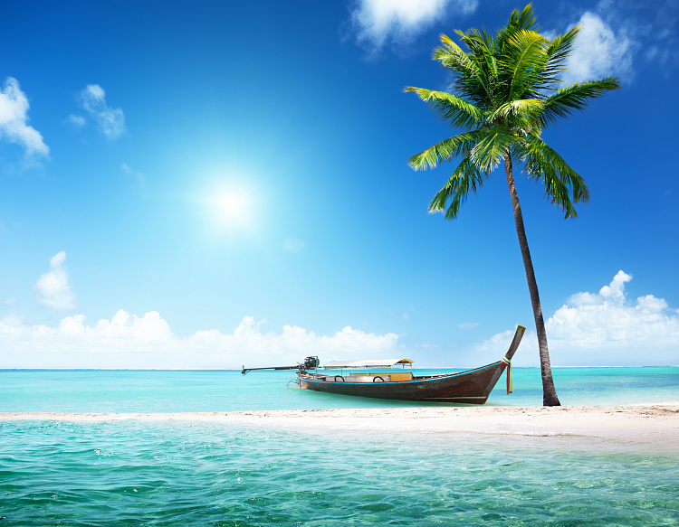 Фотообои 44011617