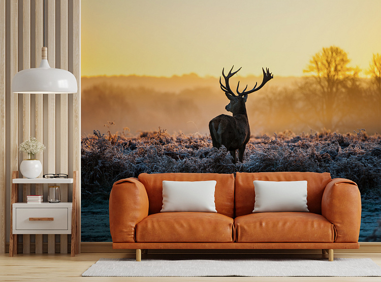 Фотообои 09092013