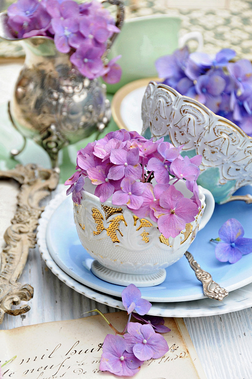 Фотообои 55293312