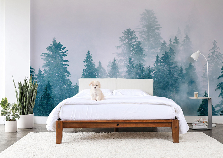 Фотообои 245966814