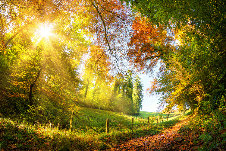 Фотообои 218824432