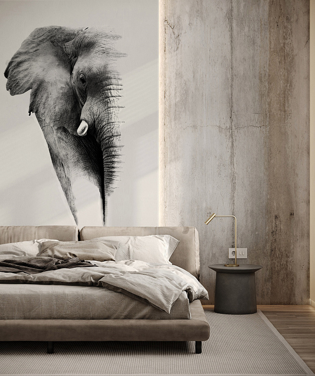 Фотообои 78098761