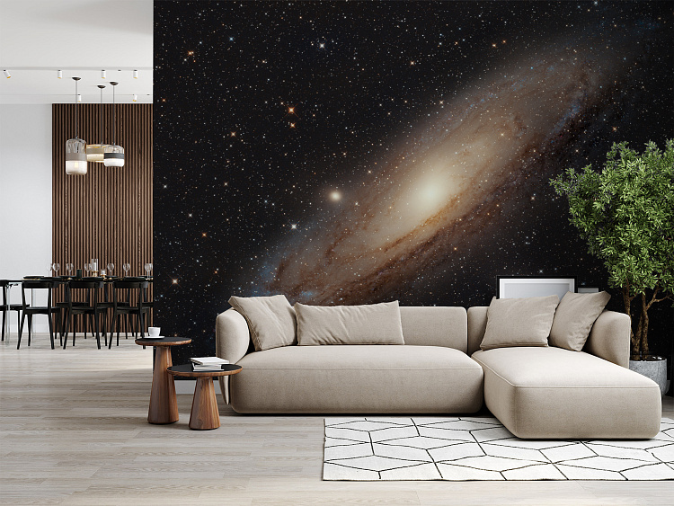 Фотообои 480123405