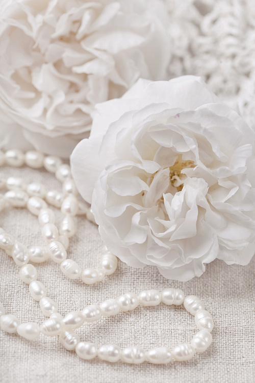 Фотообои 41580233