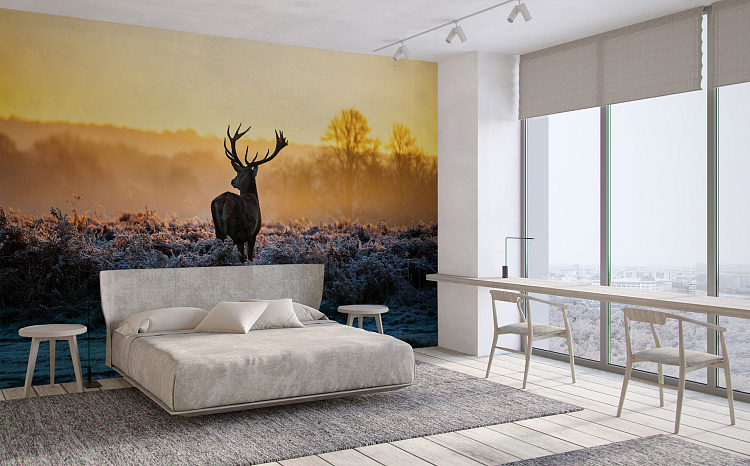 Фотообои 09092013