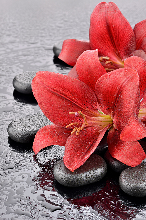 Фотообои 70523748