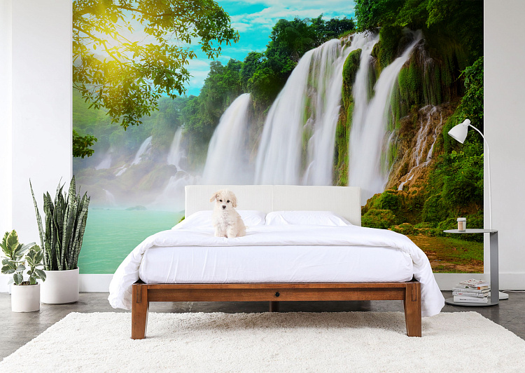 Фотообои 16847906