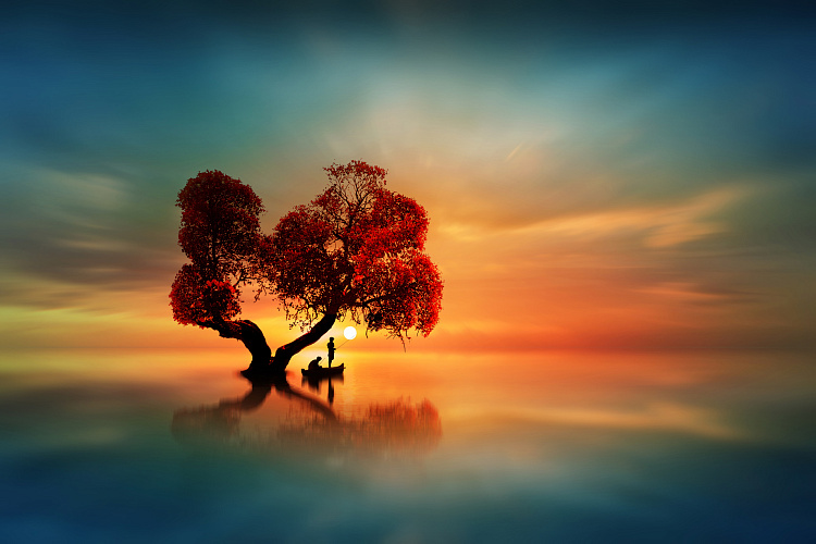 Фотообои 594509651