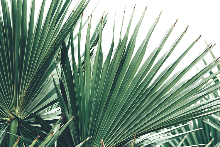 Фотообои 1408078310