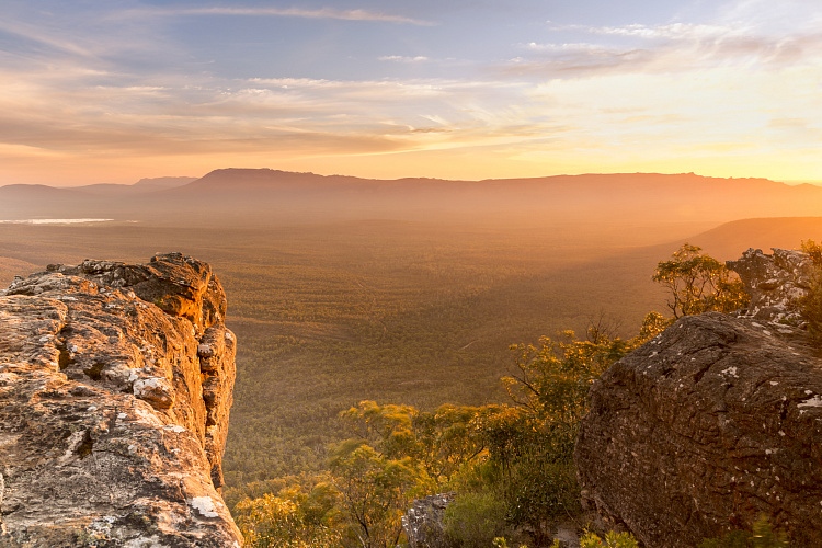 Фотообои 80555697