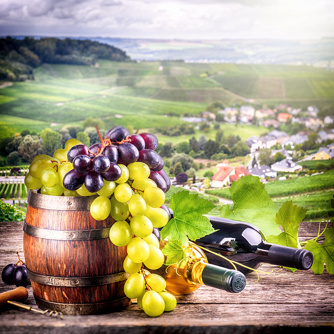 Фотообои 75878350