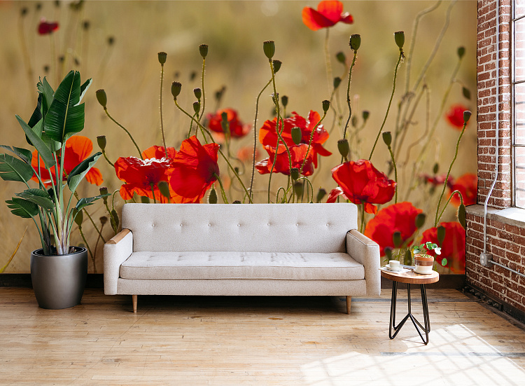 Фотообои 35209685