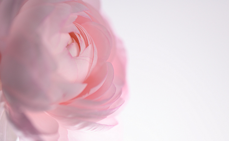 Фотообои 292976790