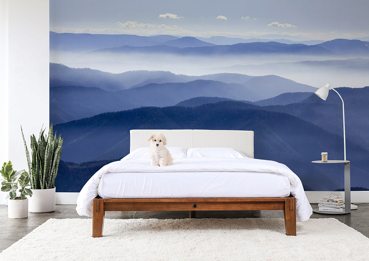 Фотообои 532631518